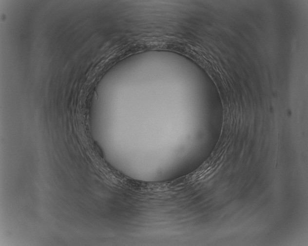 X0000074011249200608211034
