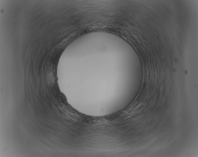 X0000074011250200608211034