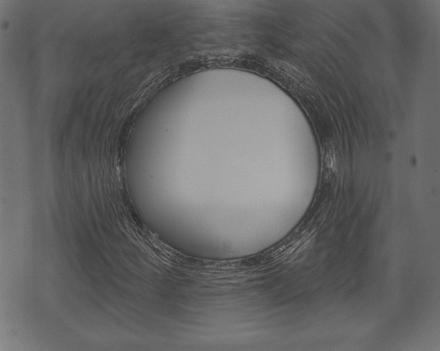 X0000074011252200608211034