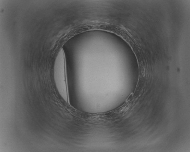 X0000074011253200608211034