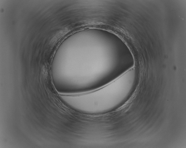 X0000074011257200608211034