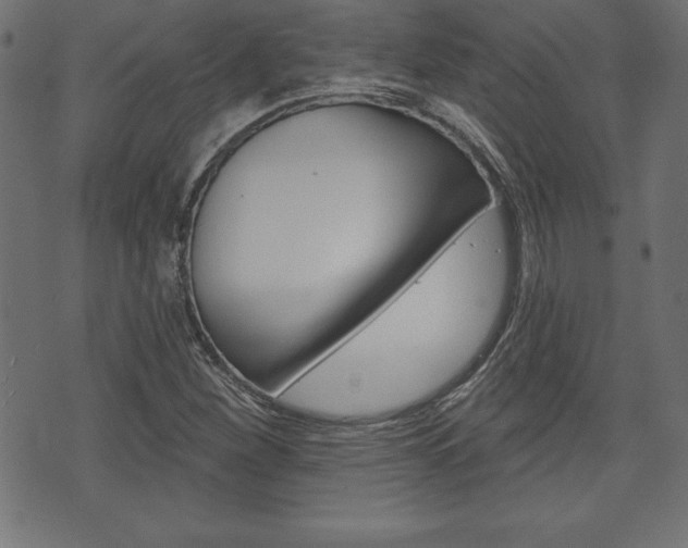X0000074011260200608211034