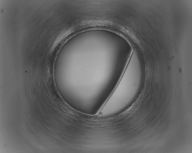 X0000074011261200608211034