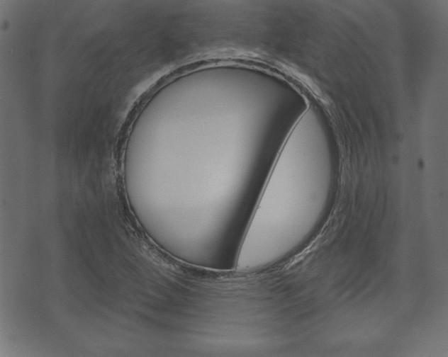X0000074011264200608211034