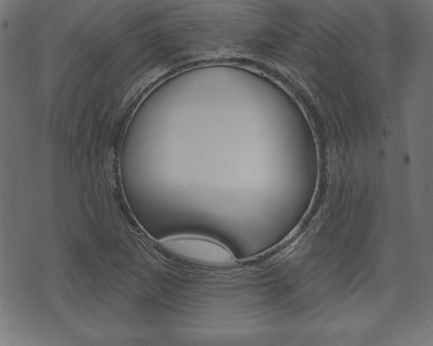 X0000074011265200608211034