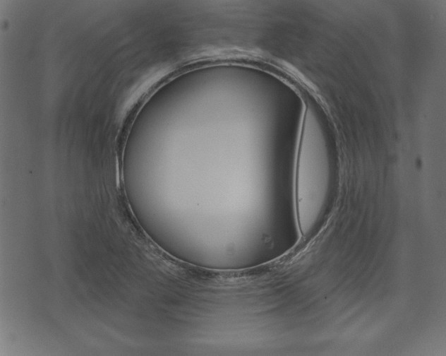 X0000074011269200608211034