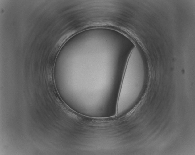 X0000074011273200608211034