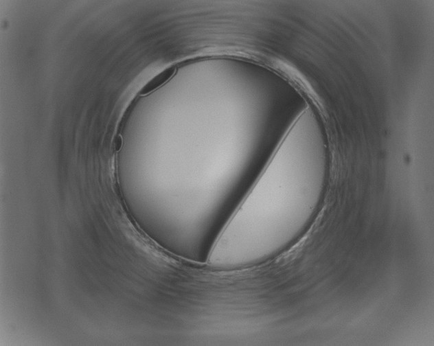 X0000074011284200608211034