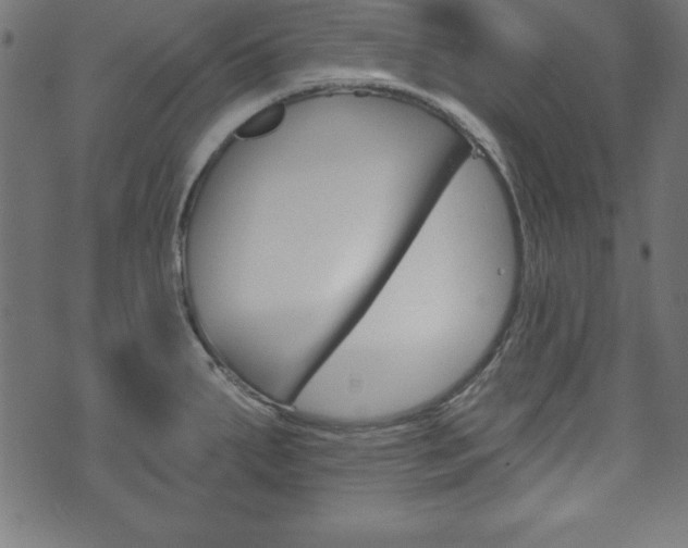 X0000074011287200608211034