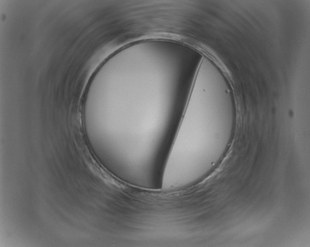 X0000074011292200608211034