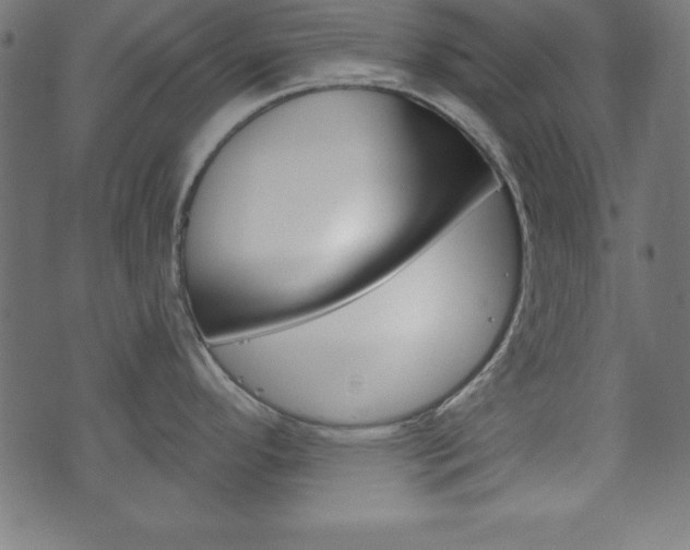 X0000074011296200608211034