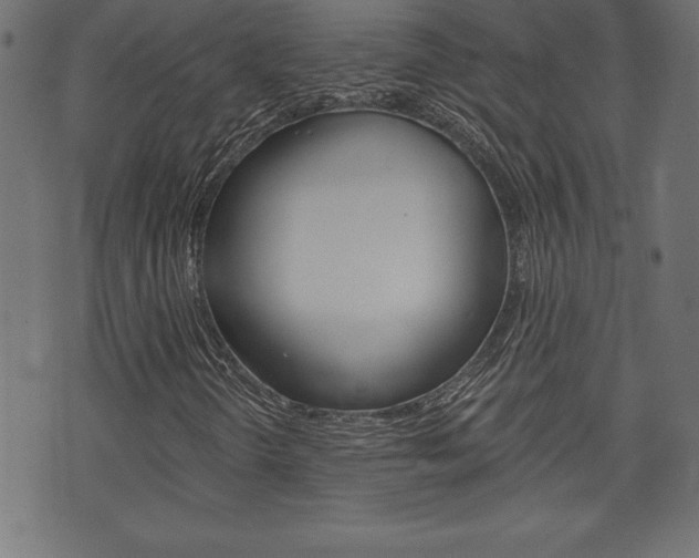 X0000074011298200608211033