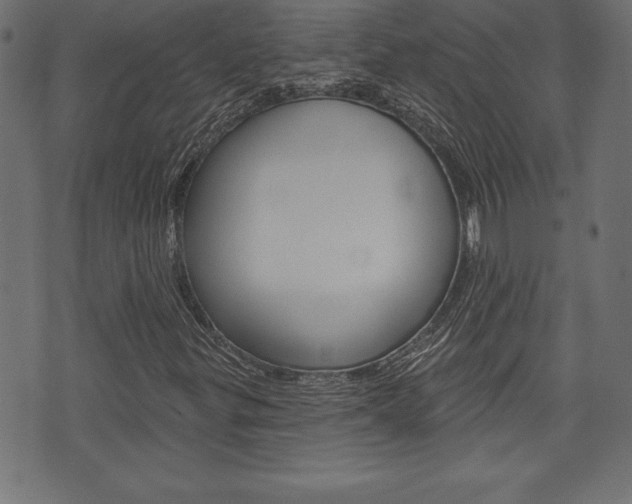 X0000074011299200608211033