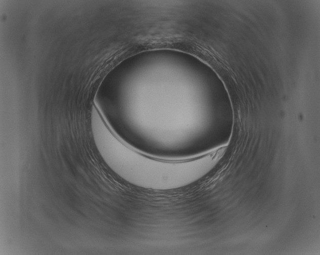 X0000074011300200608211033