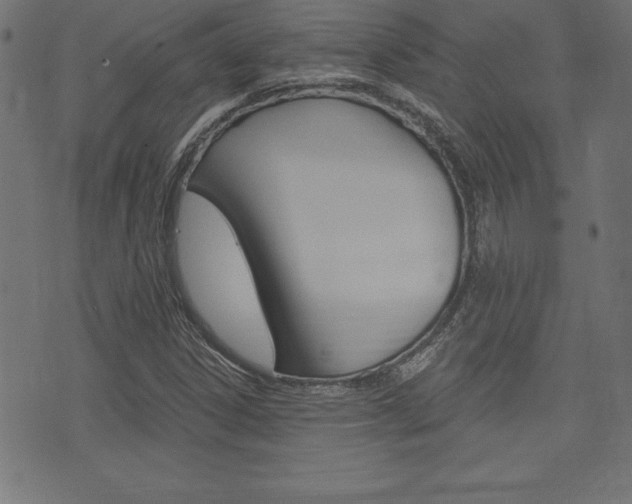 X0000074011306200608211033