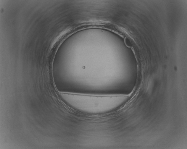 X0000074011307200608211033