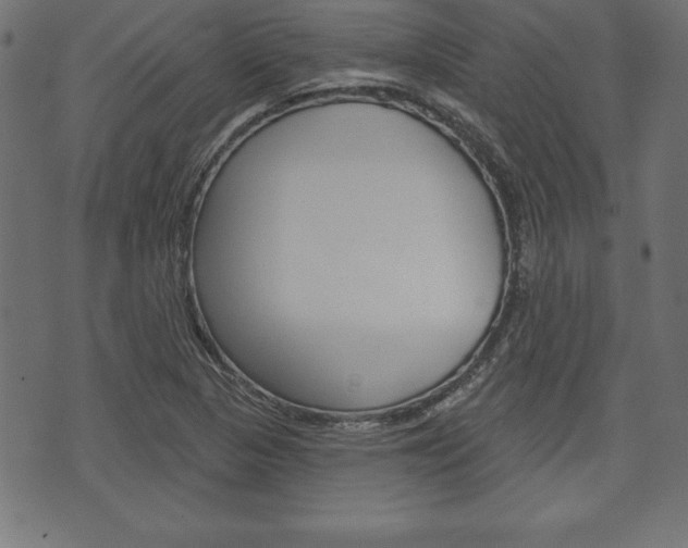 X0000074011313200608211033