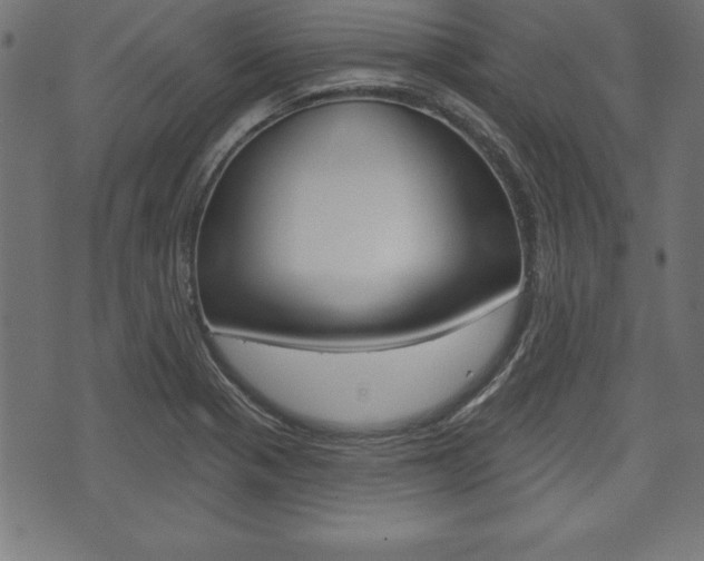 X0000074011321200608211033