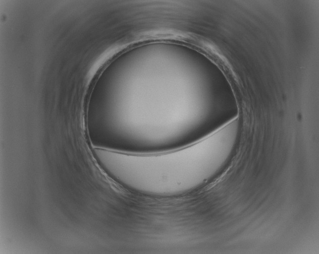 X0000074011328200608211033