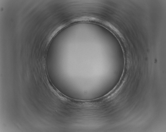X0000074011329200608211033