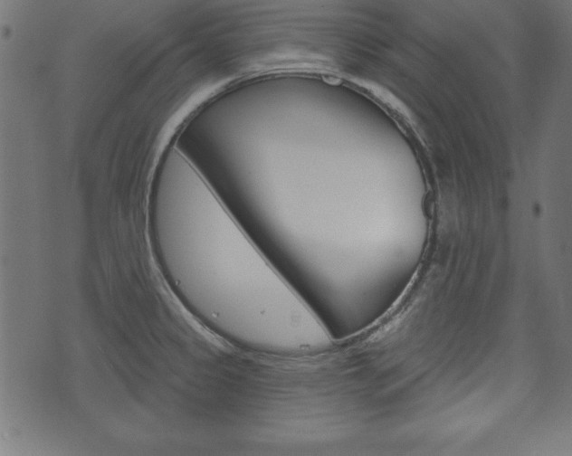 X0000074011333200608211034