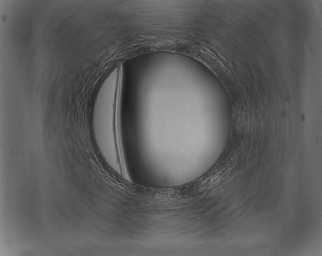 X0000074011345200608211033