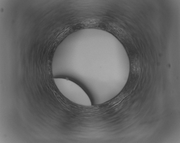 X0000074011346200608211033