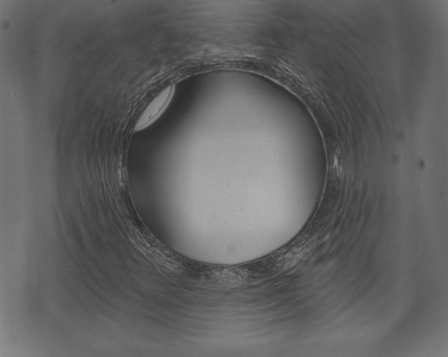 X0000074011348200608211033
