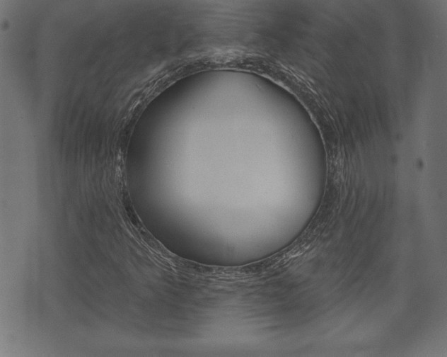 X0000074011349200608211033