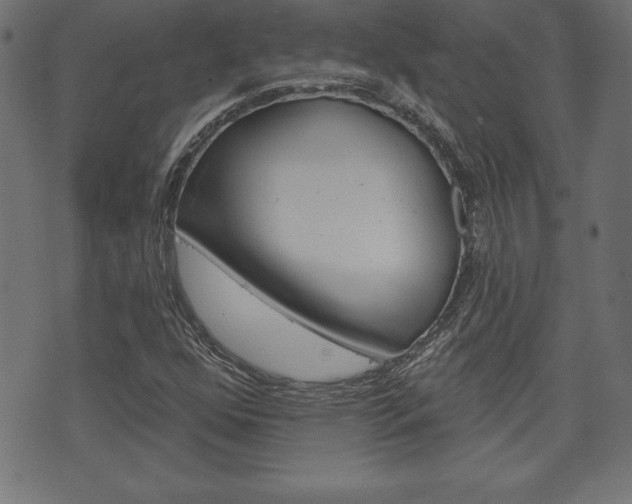 X0000074011352200608211033