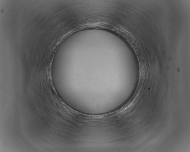 X0000074011353200608211033