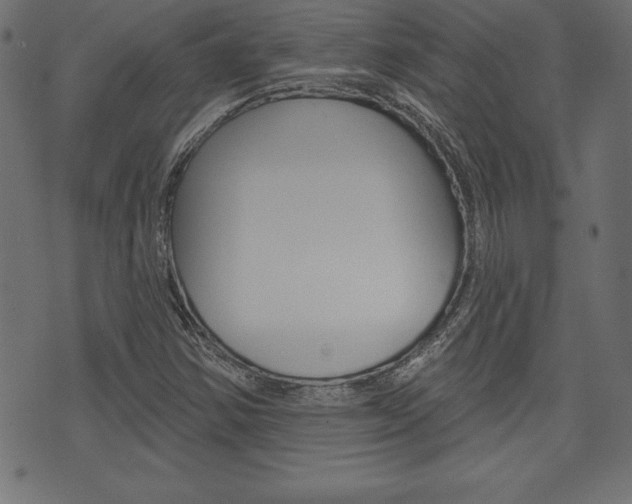X0000074011354200608211033