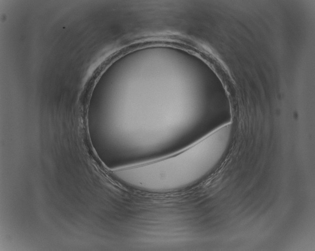 X0000074011360200608211033