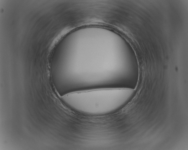 X0000074011363200608211033