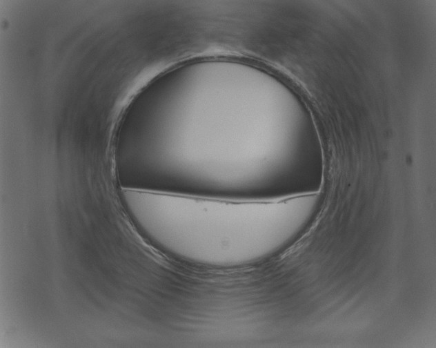 X0000074011367200608211033