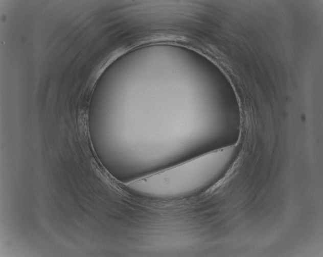 X0000074011369200608211033