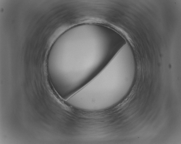 X0000074011375200608211032