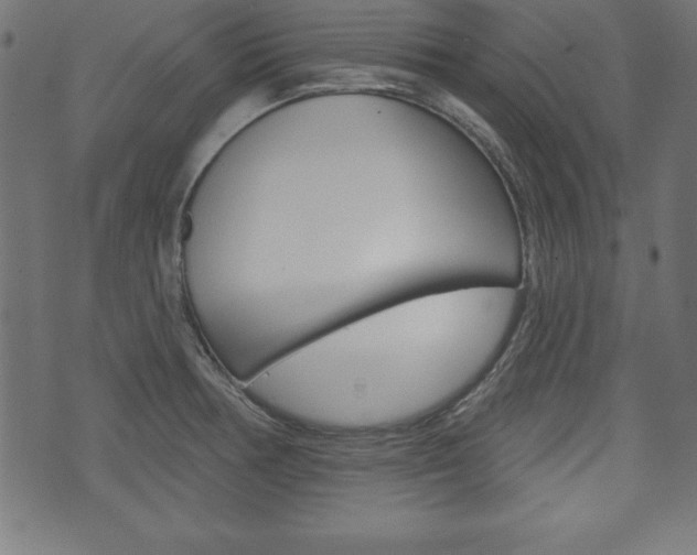 X0000074011378200608211032