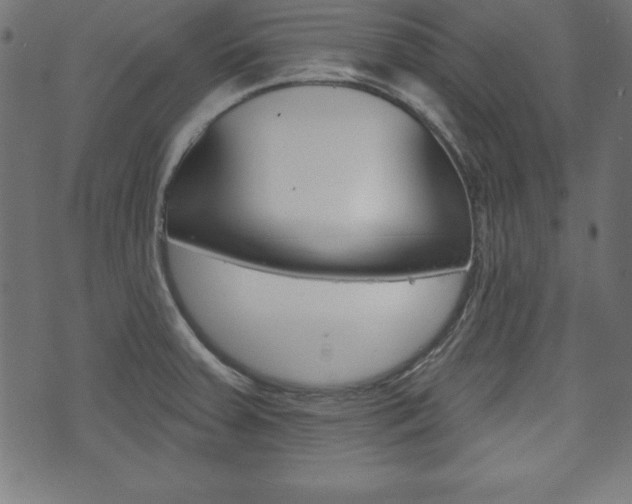 X0000074011379200608211032
