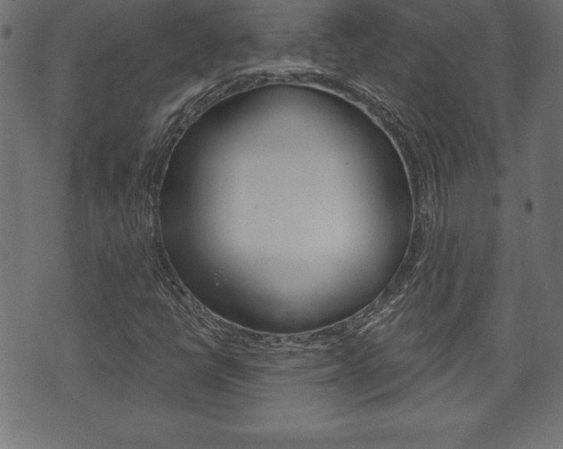 X0000074011398200608211031