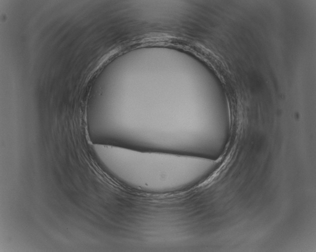 X0000074011401200608211031