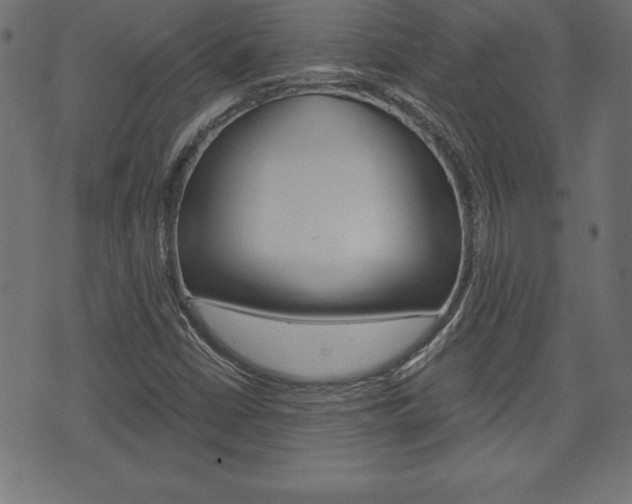 X0000074011402200608211032