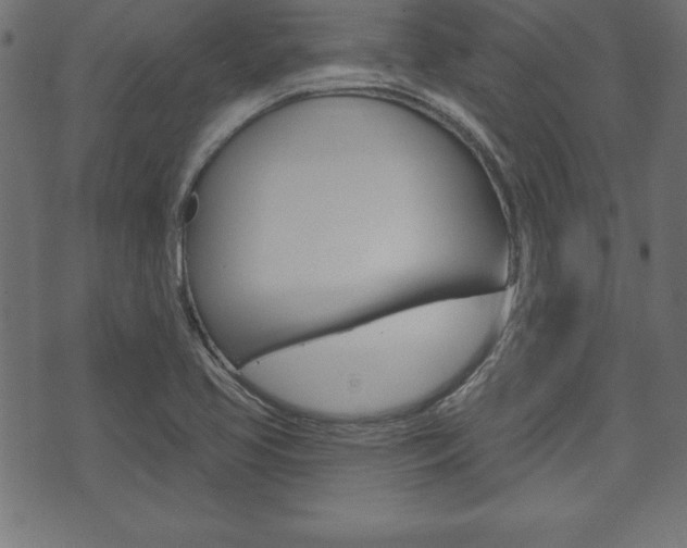 X0000074011413200608211032