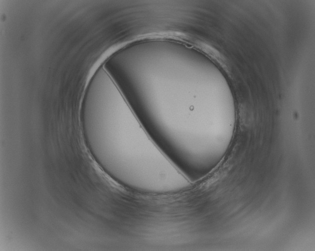 X0000074011428200608211032