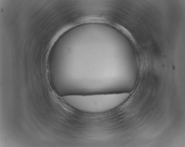 X0000074011435200608211032