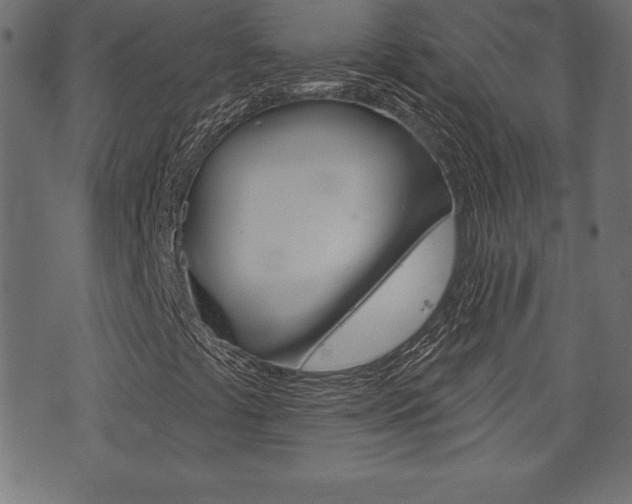 X0000074011441200608211031