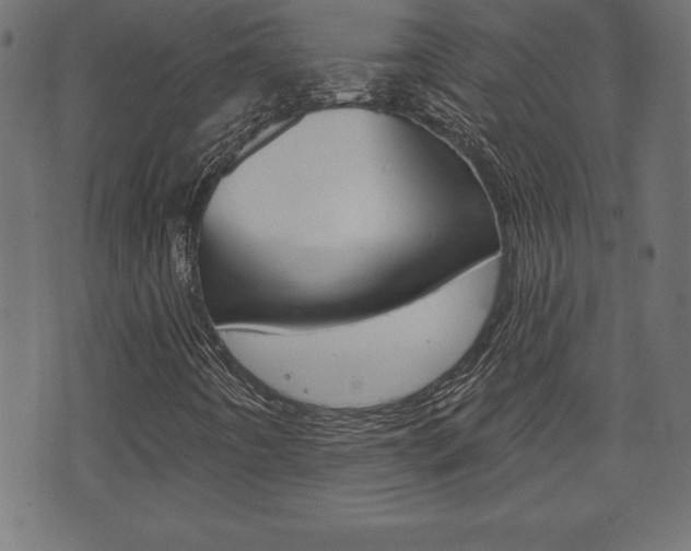 X0000074011442200608211031