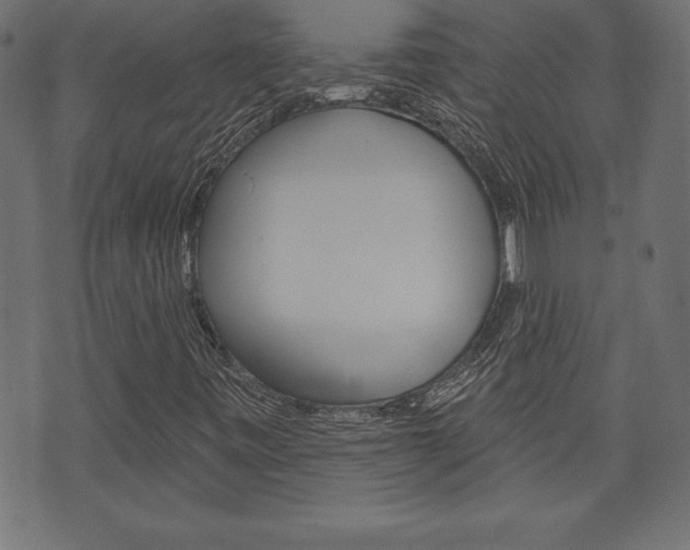 X0000074011443200608211031