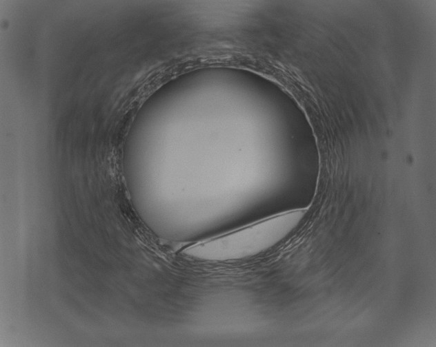 X0000074011445200608211031