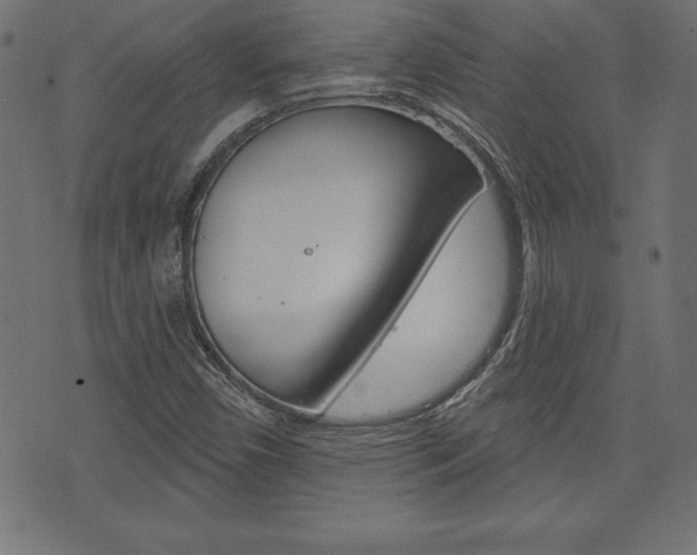 X0000074011450200608211031